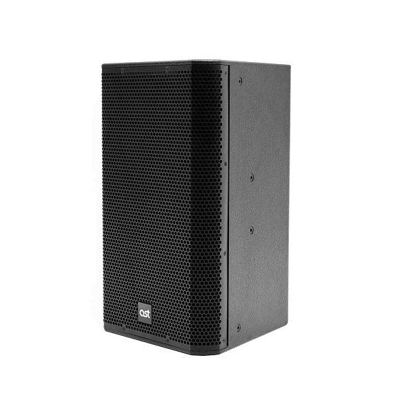 Активная акустическая система AST-310A в Шлиссельбурге