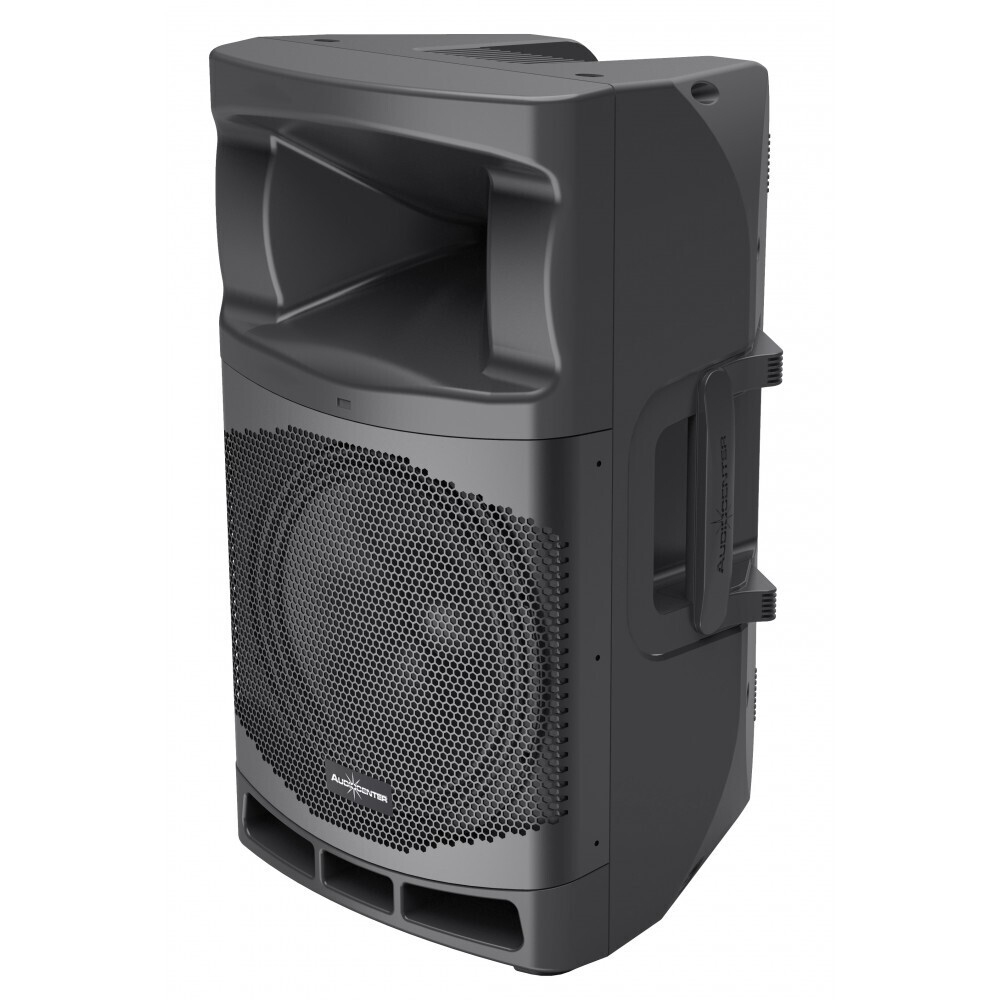 Audiocenter MA12 активная акустическая система в Шлиссельбурге