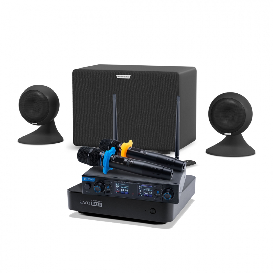 караоке-комплект EVOBOX + EvoSound Sphere 2.1 в Шлиссельбурге