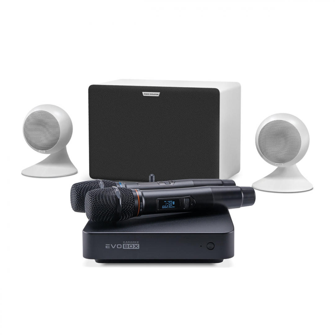 караоке-комплект EVOBOX Classic + EvoSound Sphere 2.1 в Шлиссельбурге