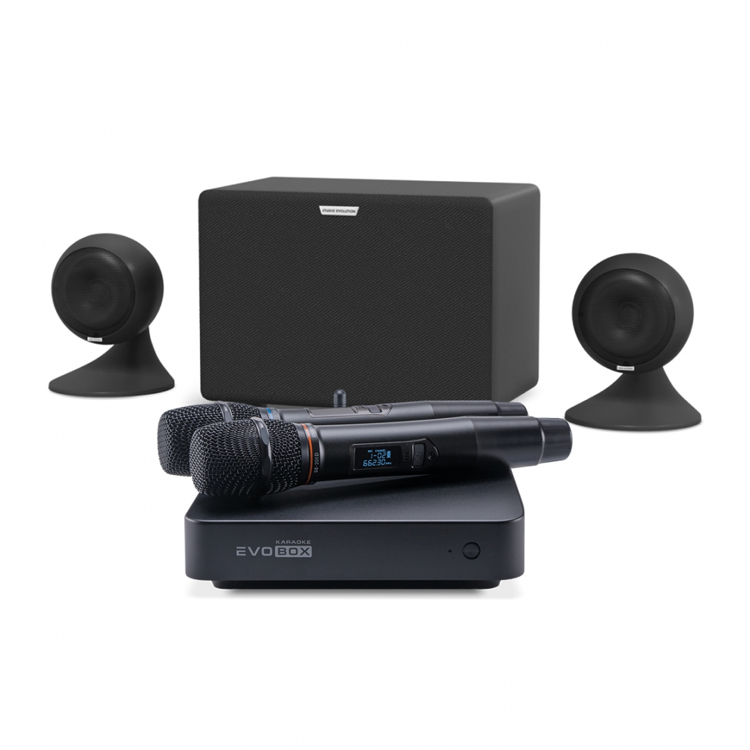 караоке-комплект EVOBOX Plus + EvoSound Sphere 2.1 в Шлиссельбурге