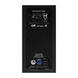 Активная акустическая система AST-310A в Шлиссельбурге