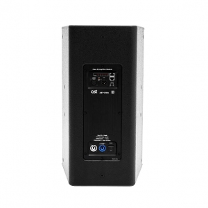 Активная акустическая система AST-310A в Шлиссельбурге