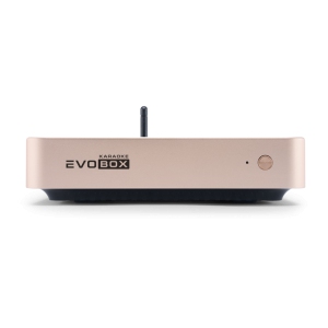 EVOBOX Classic караоке-система для дома в Шлиссельбурге
