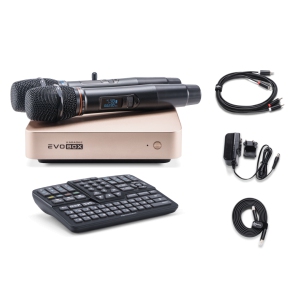 EVOBOX Classic караоке-система для дома в Шлиссельбурге