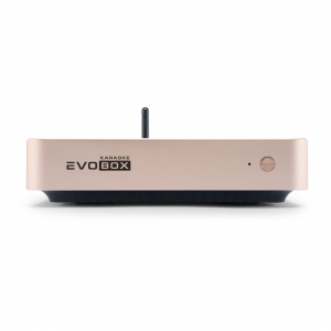 EVOBOX Plus караоке-система для дома в Шлиссельбурге